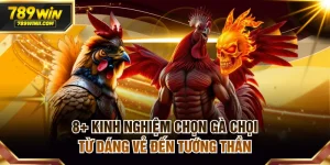 Kinh nghiệm chọn gà chọi