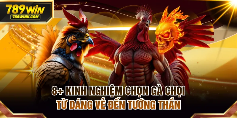 Kinh nghiệm chọn gà chọi